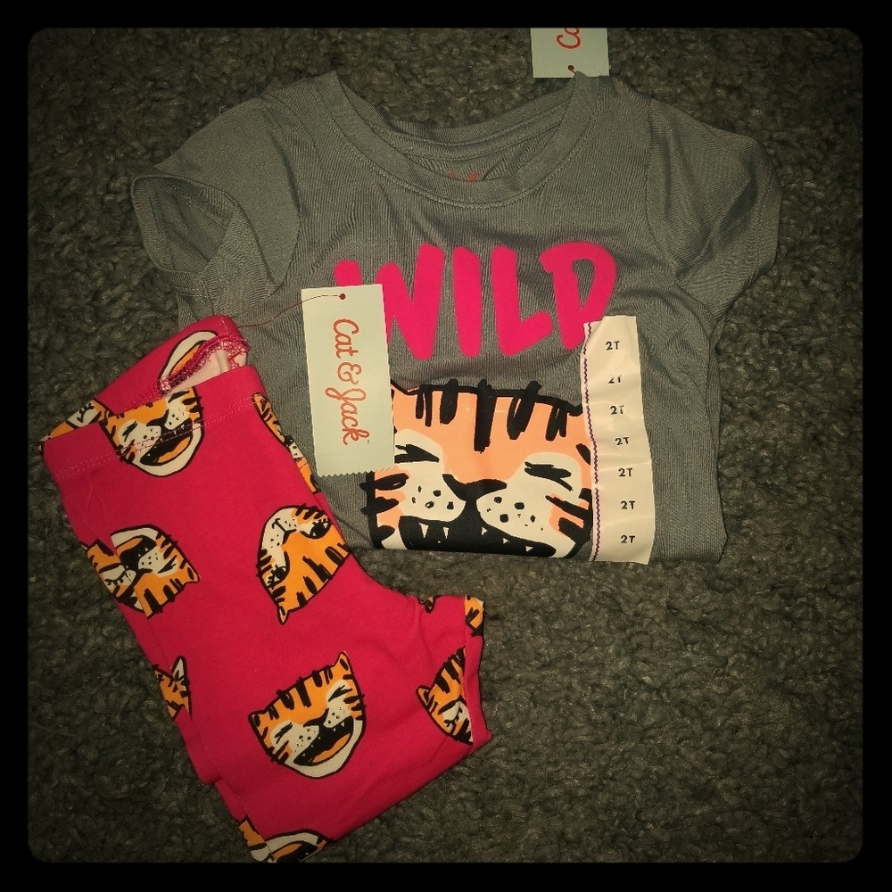 Girls 2 Piece Outfit
